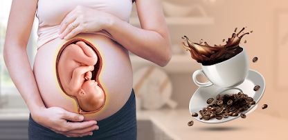 Pregnancy Nutrition Guide Icon